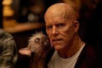 V3 4925770.jpg r 1920 1080 f jpg q x xxyxx