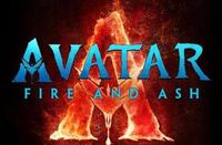 V3 66bb254b3faf30428272eed8.jpeg