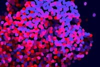 V3 v1 fastforward berlinale key visual 2026 1000x667