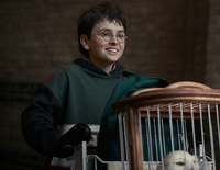 V3 potter2026