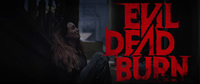 V3 evildeadburn