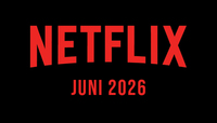 V3 netflixlogo