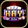 haywin1today