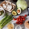 foodsafetylevel1courseuk